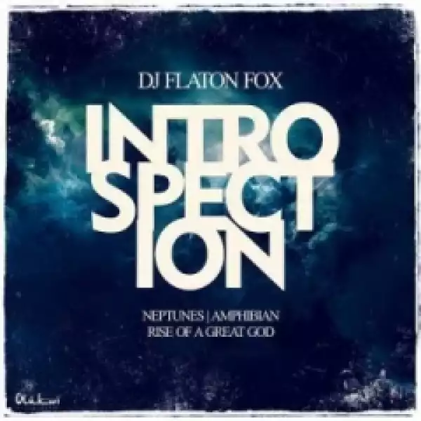 DJ Flaton Fox - Amphibian (Original Mix)